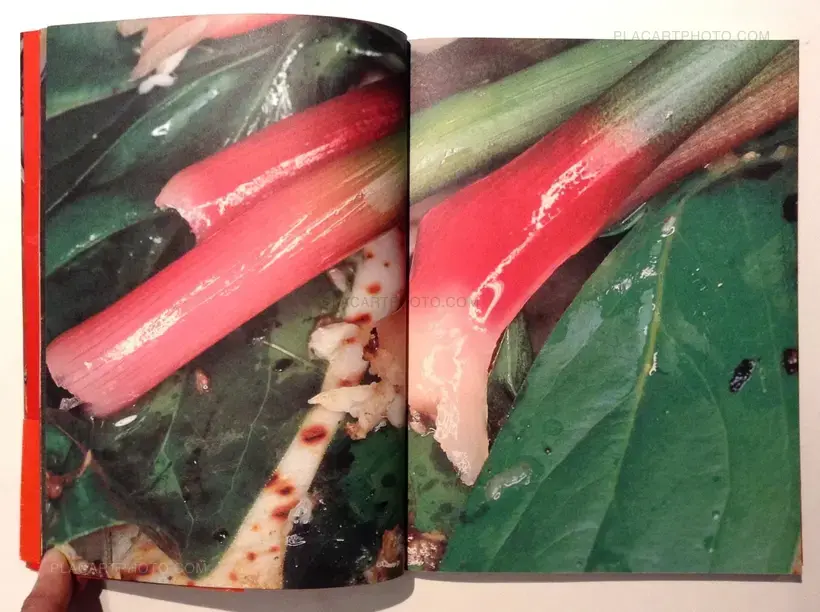 Nobuyoshi Araki – The Banquet