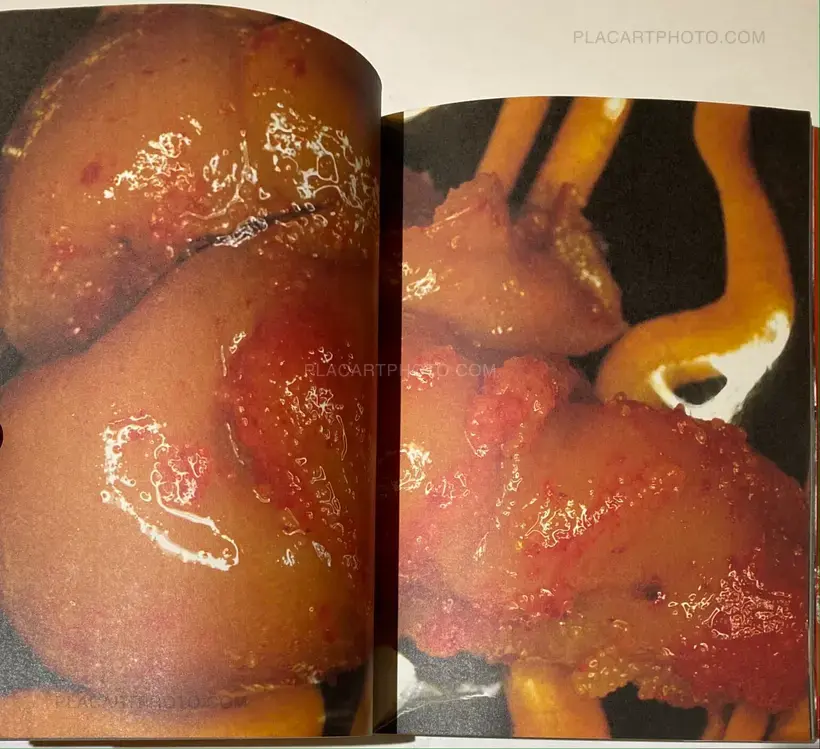 Nobuyoshi Araki – The Banquet