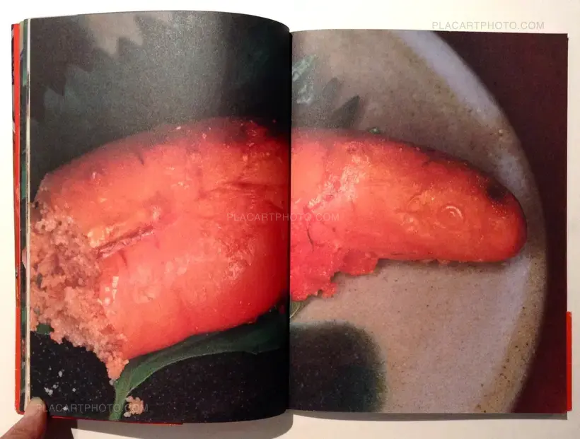 Nobuyoshi Araki – The Banquet