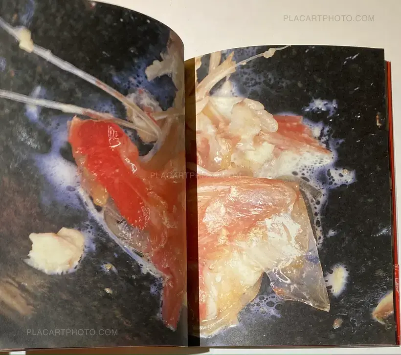 Nobuyoshi Araki – The Banquet