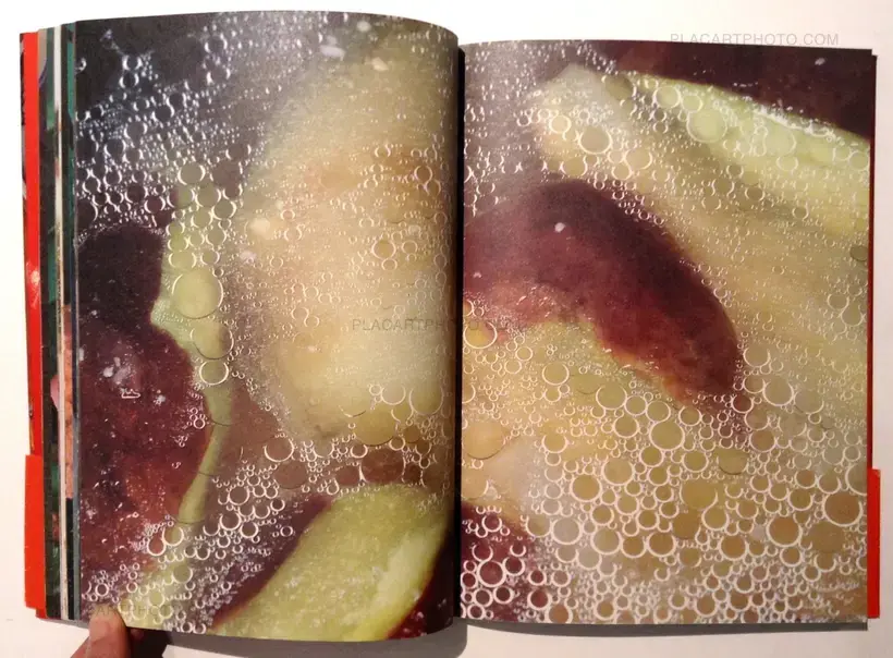 Nobuyoshi Araki – The Banquet