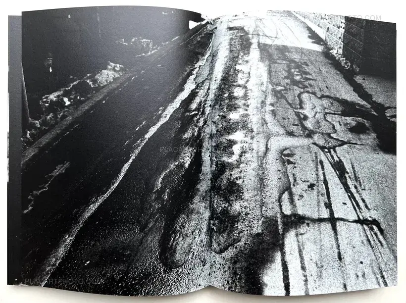 Tamiko Nishimura – Looking Back (Special edition)