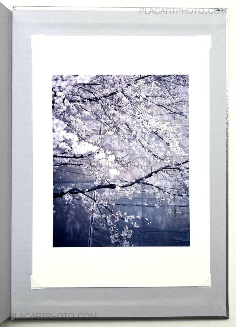 Kazuyoshi Usui: Showa 99 (Special edition A), Zen Foto Gallery