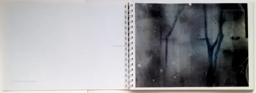 Daisuke Yokota – Toransupearento (Signed)