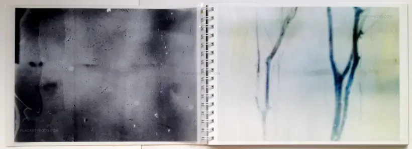 Daisuke Yokota – Toransupearento (Signed)