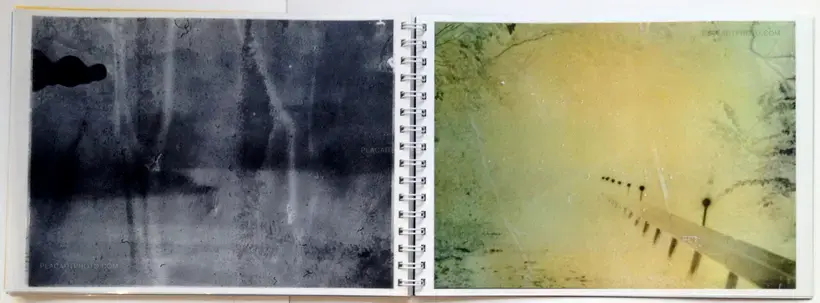 Daisuke Yokota – Toransupearento (Signed)