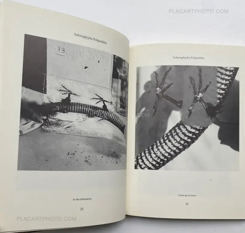 Joan Fontcuberta – FAUNA (SIGNED)