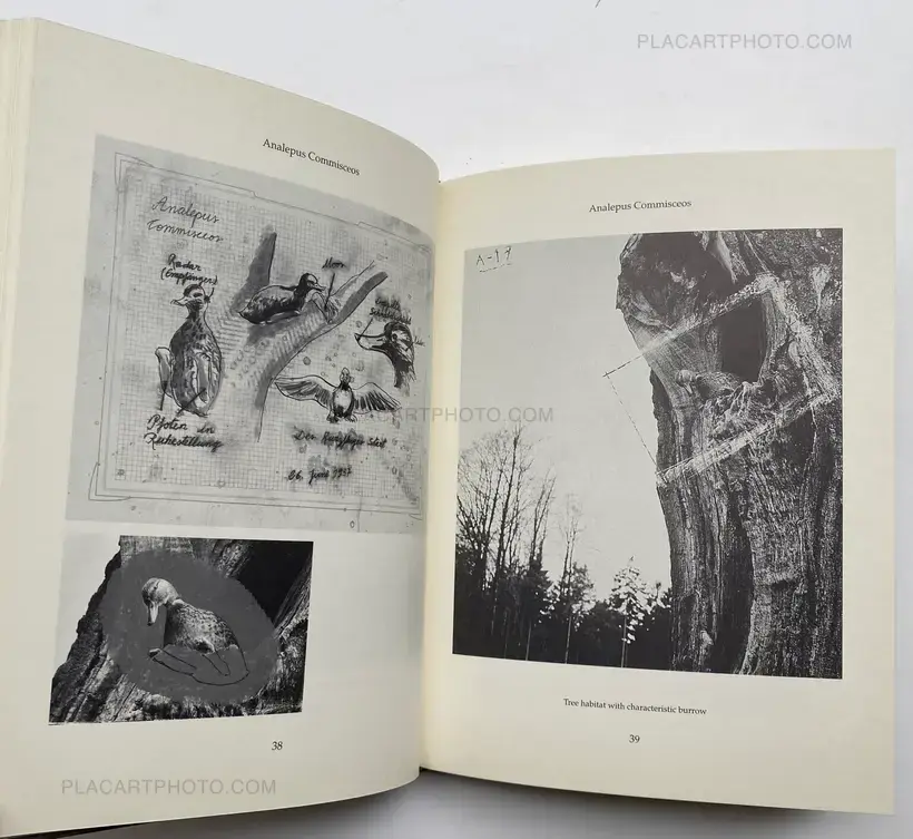 Joan Fontcuberta – FAUNA (SIGNED)