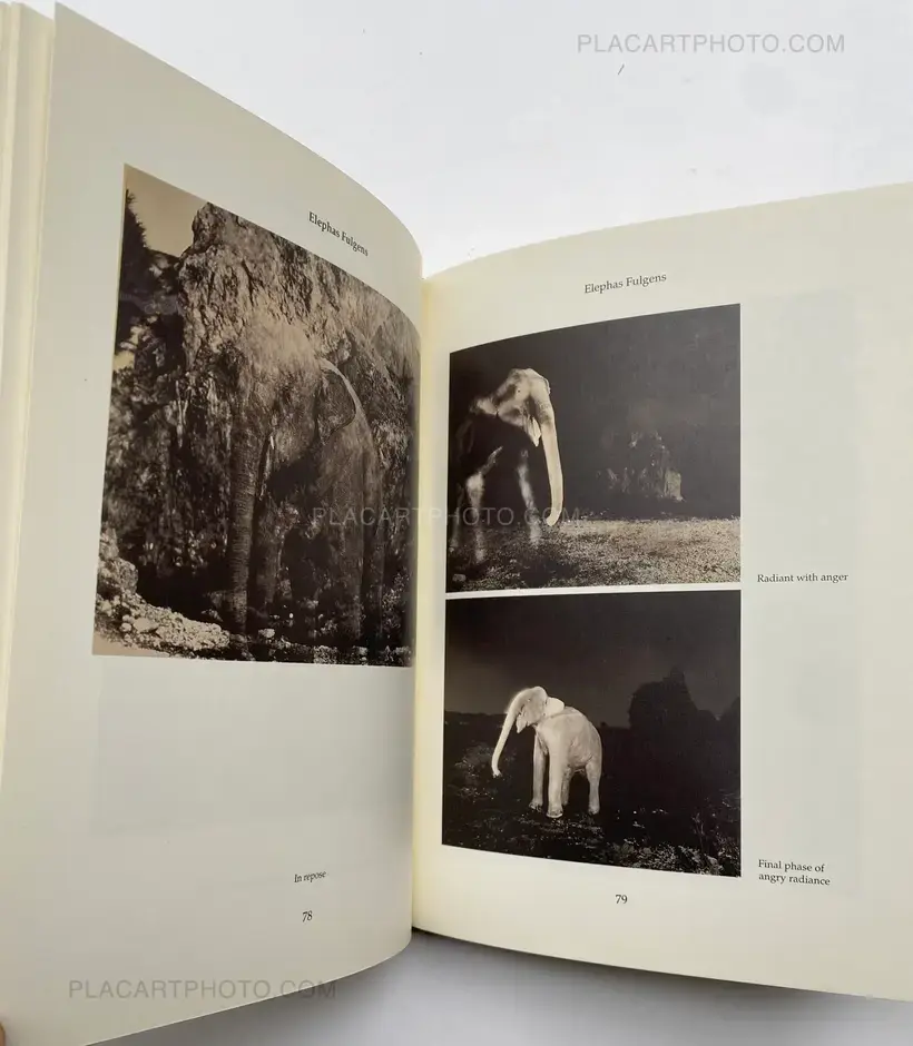 Joan Fontcuberta – FAUNA (SIGNED)