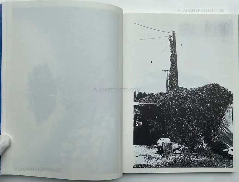 Christopher Wool – ABSENT WITHOUT LEAVE