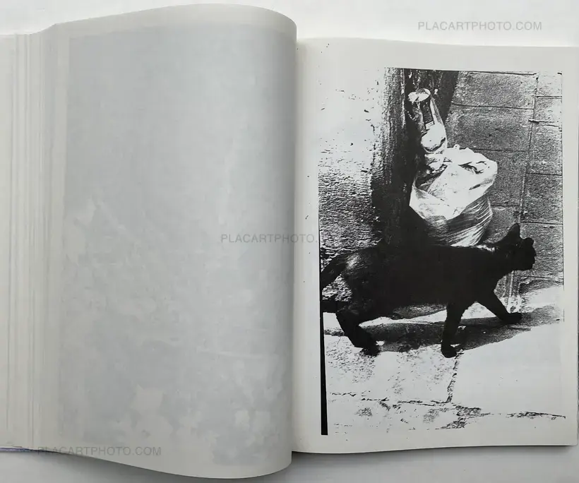 Christopher Wool – ABSENT WITHOUT LEAVE