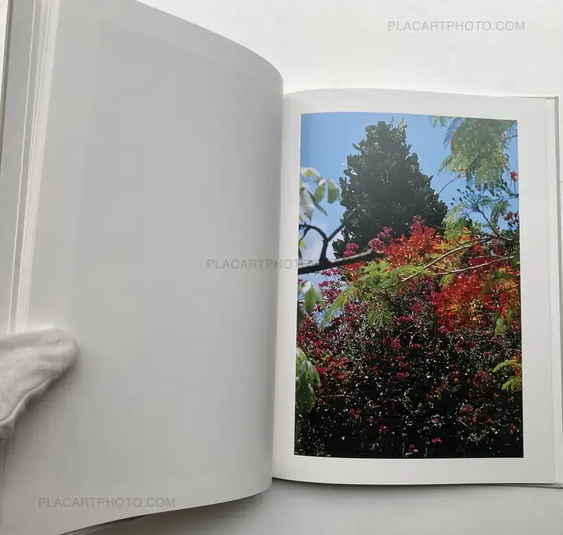 Takuma Nakahira – OKINAWA (LTD EDT)