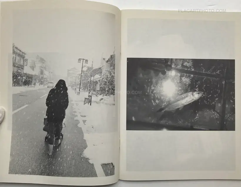 Juergen Teller – ed in japan: the juergen teller book: purple / janvier