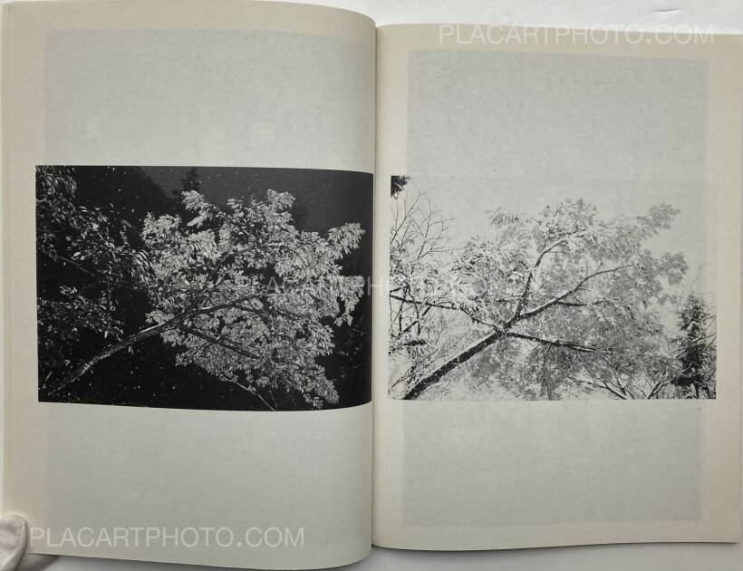 Juergen Teller: ed in japan: the juergen teller book: purple Juergen Teller: ed in japan: the juergen teller book: purple