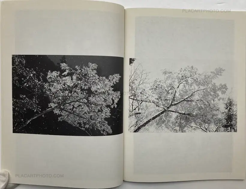 Juergen Teller – ed in japan: the juergen teller book: purple / janvier
