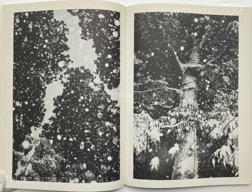 Juergen Teller: ed in japan: the juergen teller book: purple Juergen Teller: ed in japan: the juergen teller book: purple