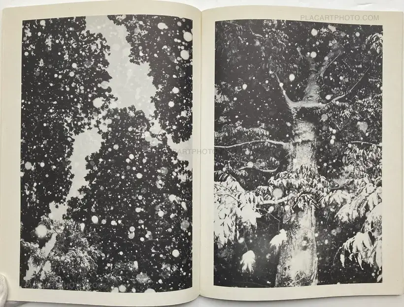 Juergen Teller – ed in japan: the juergen teller book: purple / janvier