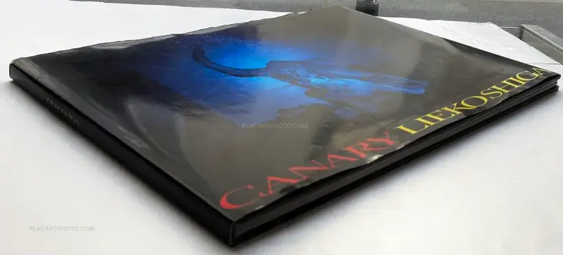 Lieko Shiga – CANARY