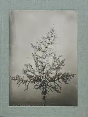 Steffen Diemer – Wakame (LTD EDT)