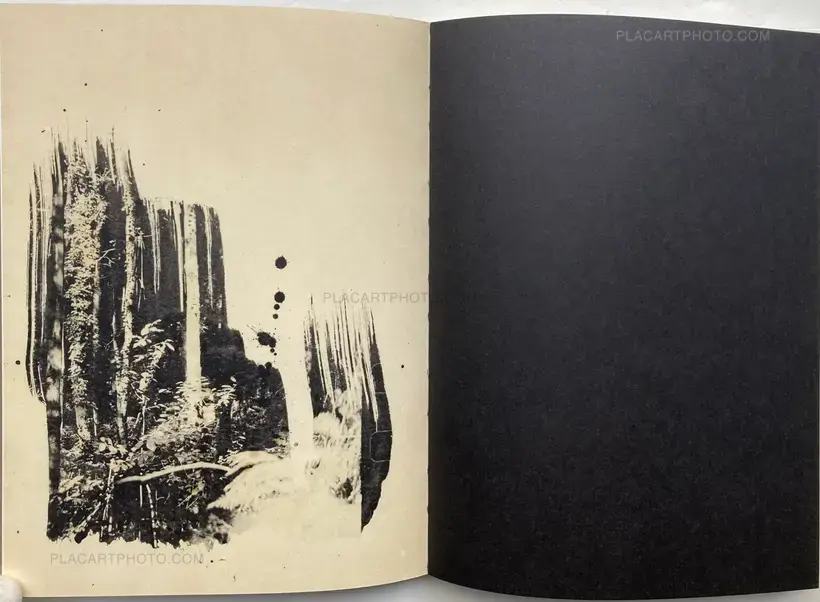 Irene Zottola – Lejos de la Tierra (LTD EDT)