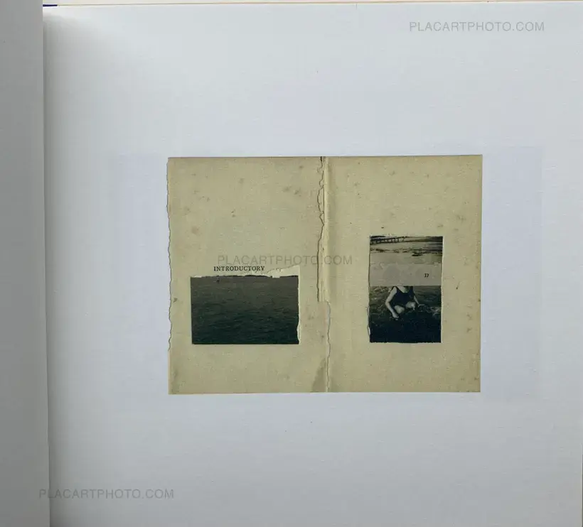 Nieves Mingueza – All Other Voices Gone, Only Yours Remains (LTD EDT)