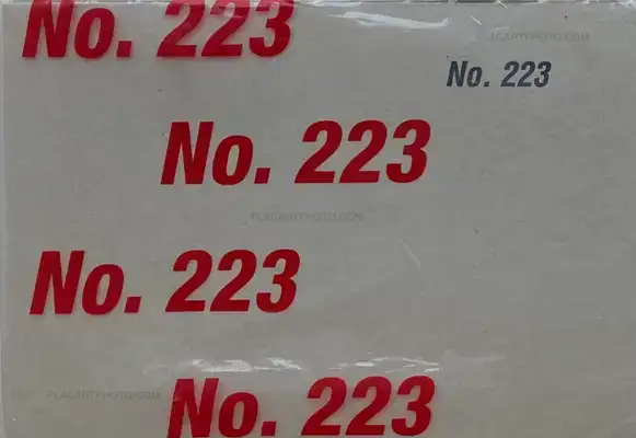 Lin Zhipeng – No. 223 (Red version)