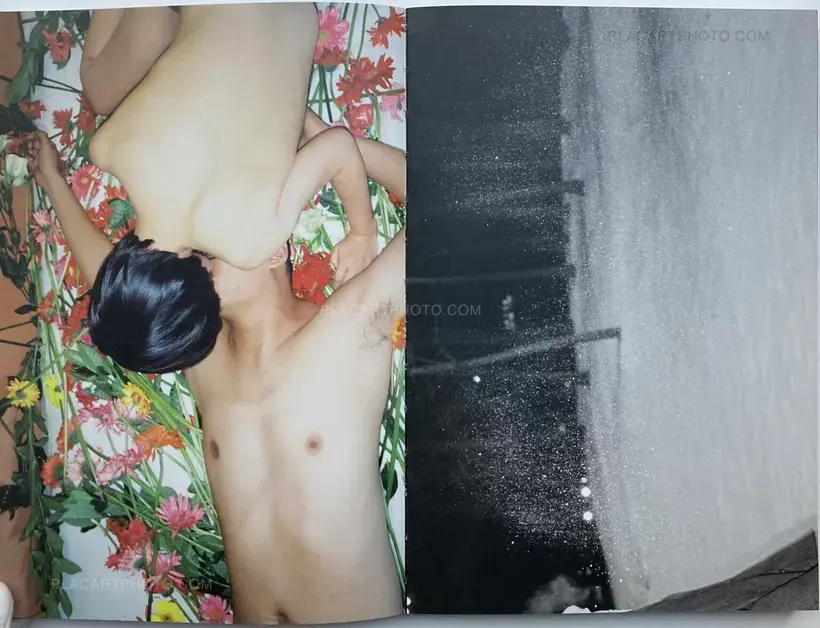 Lin Zhipeng – No. 223 (Red version)