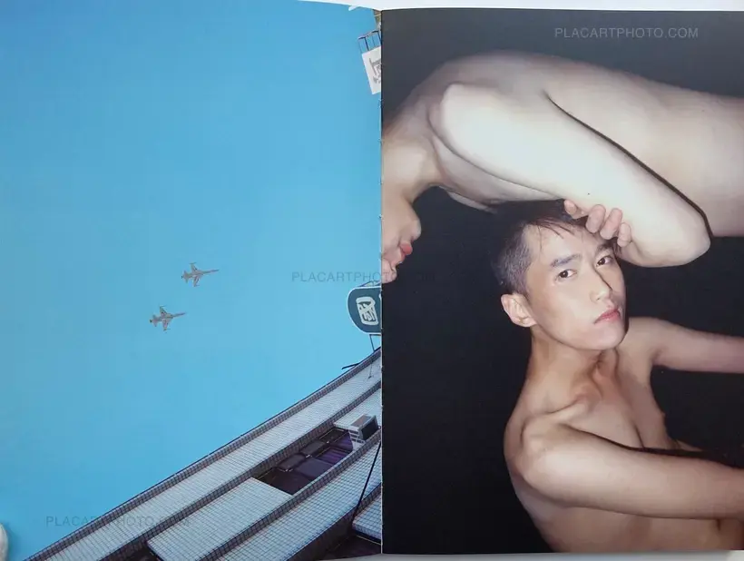 Lin Zhipeng – No. 223 (Red version)