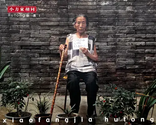 Xu Yong – xiaofangjia hutong