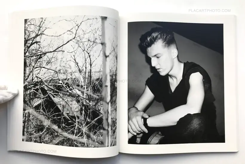 Michael Schmidt – WAFFENRUHE (NEW ENGLISH EDITION)