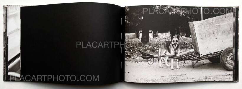 BOOGIE: BELGRADE BELONGS TO ME, Power House, 2008 | Bookshop Le