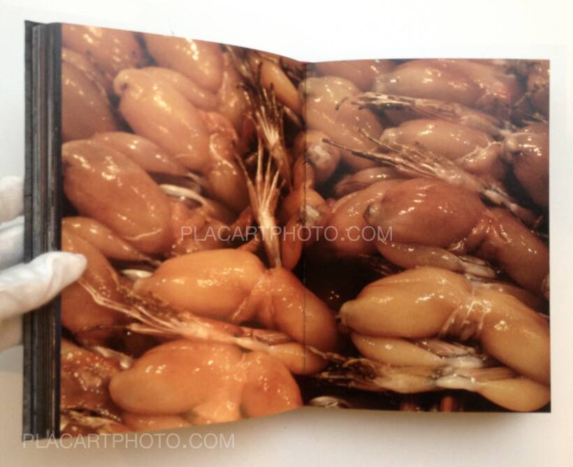 Miguel Rio Branco: Maldicidade, Cosac Naify, 2014 | Bookshop Le