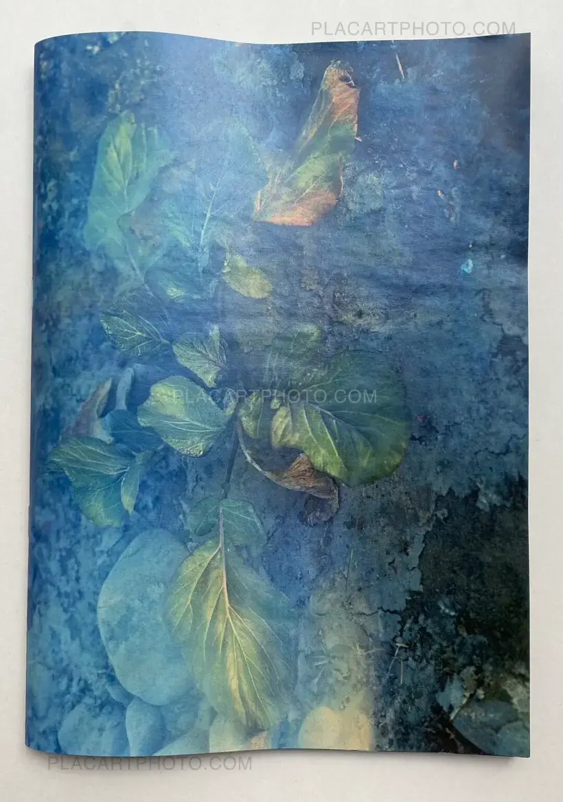 Daisuke Yokota – Plants, midstream of TamaRiver, winter (SIGNED)