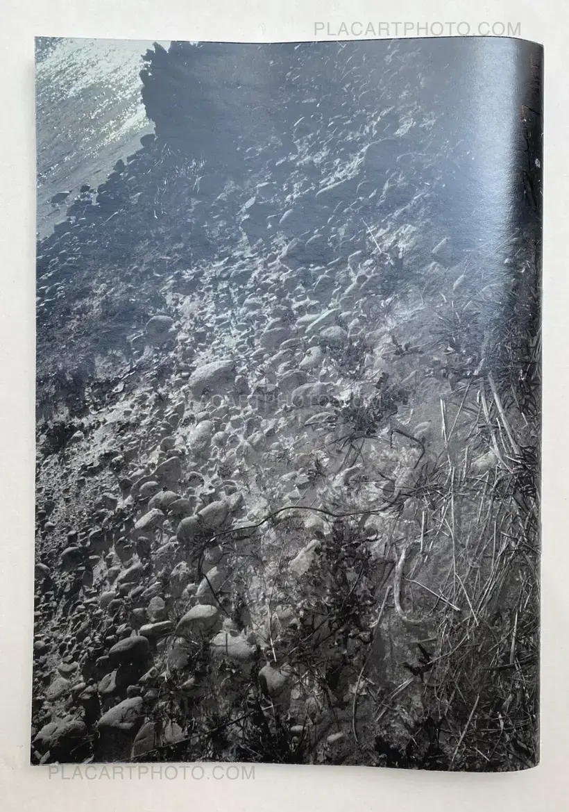 Daisuke Yokota – Plants, midstream of TamaRiver, winter (SIGNED)