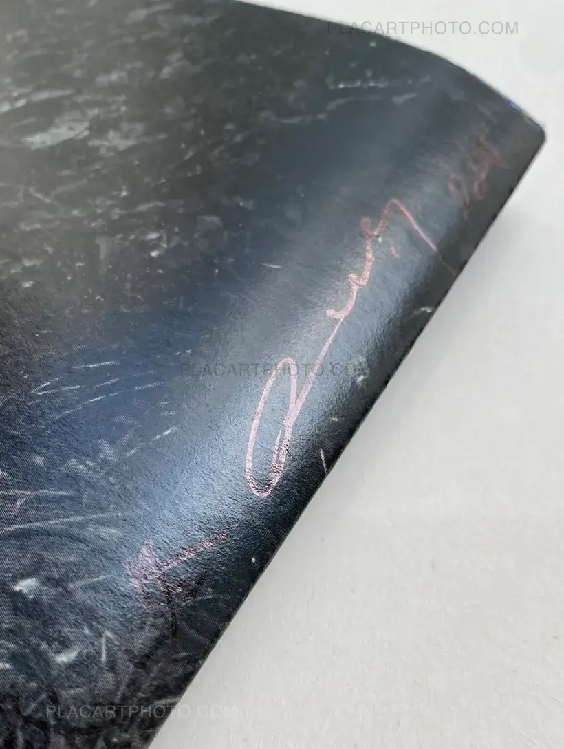 Daisuke Yokota – Plants, midstream of TamaRiver, winter (SIGNED)
