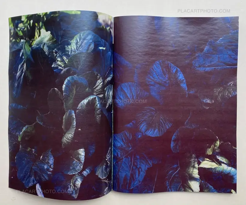 Daisuke Yokota – Plants, midstream of TamaRiver, winter (SIGNED)