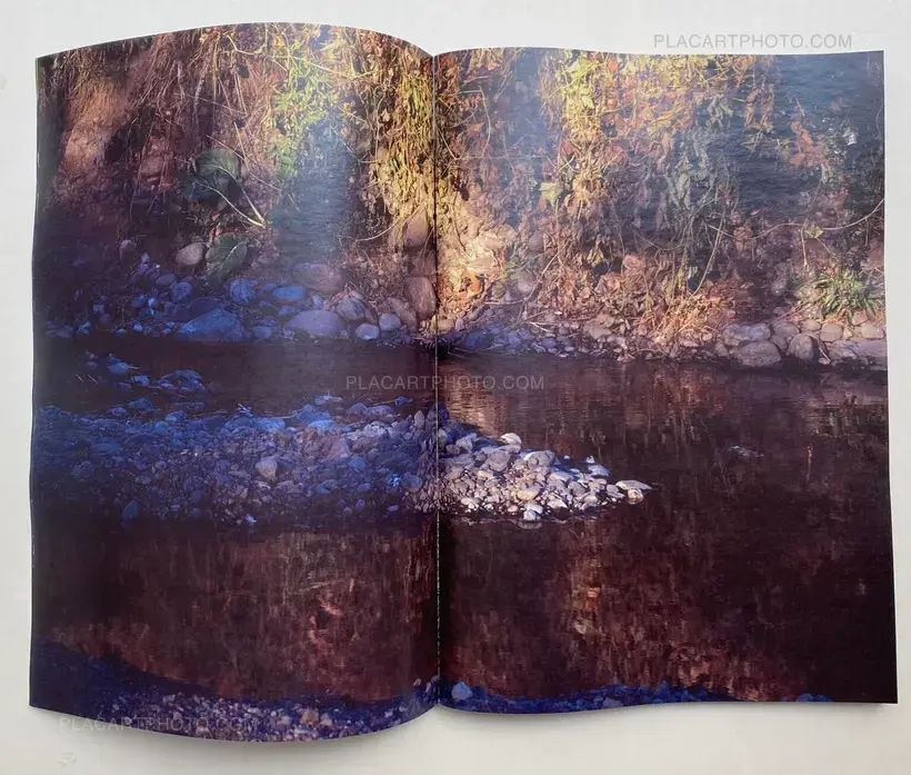 Daisuke Yokota – Plants, midstream of TamaRiver, winter (SIGNED)