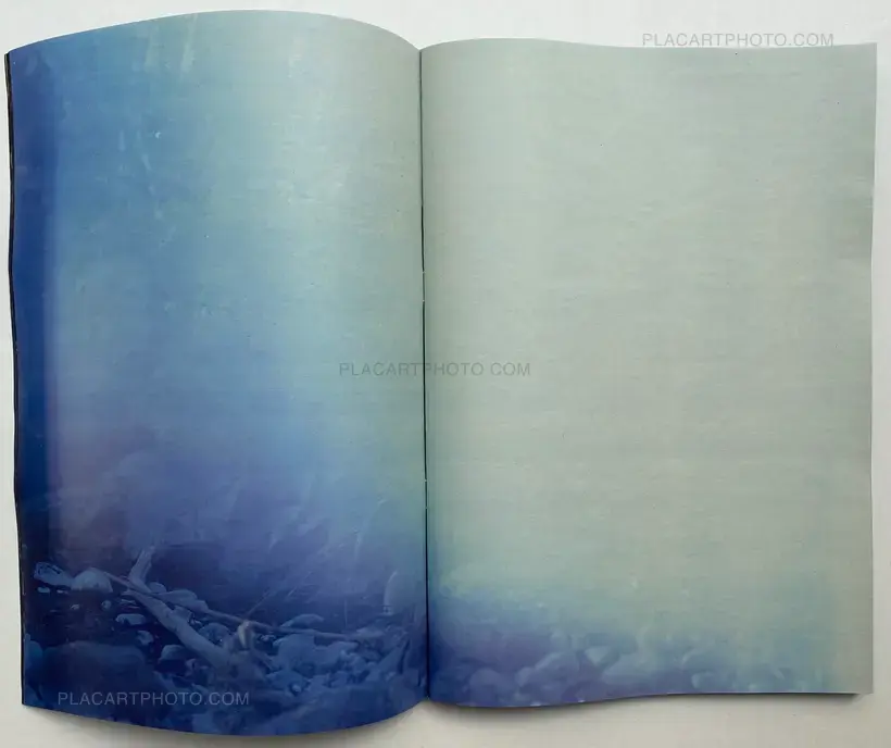 Daisuke Yokota – Plants, midstream of TamaRiver, winter (SIGNED)