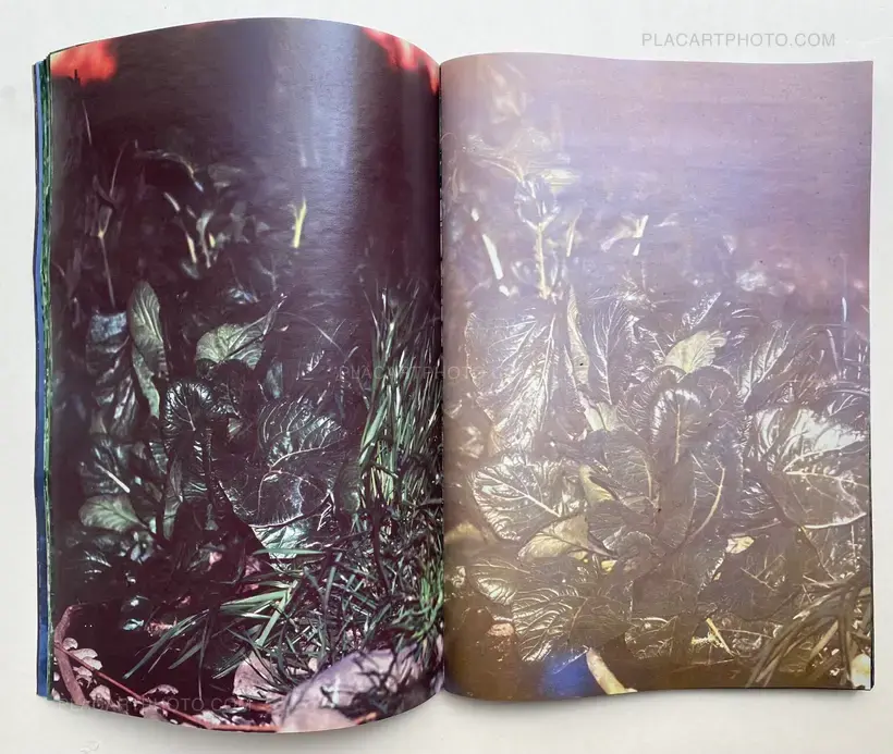 Daisuke Yokota – Plants, midstream of TamaRiver, winter (SIGNED)