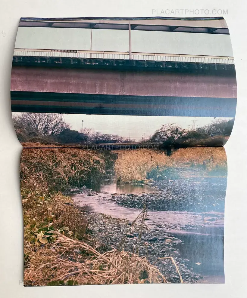 Daisuke Yokota – Plants, midstream of TamaRiver, winter (SIGNED)
