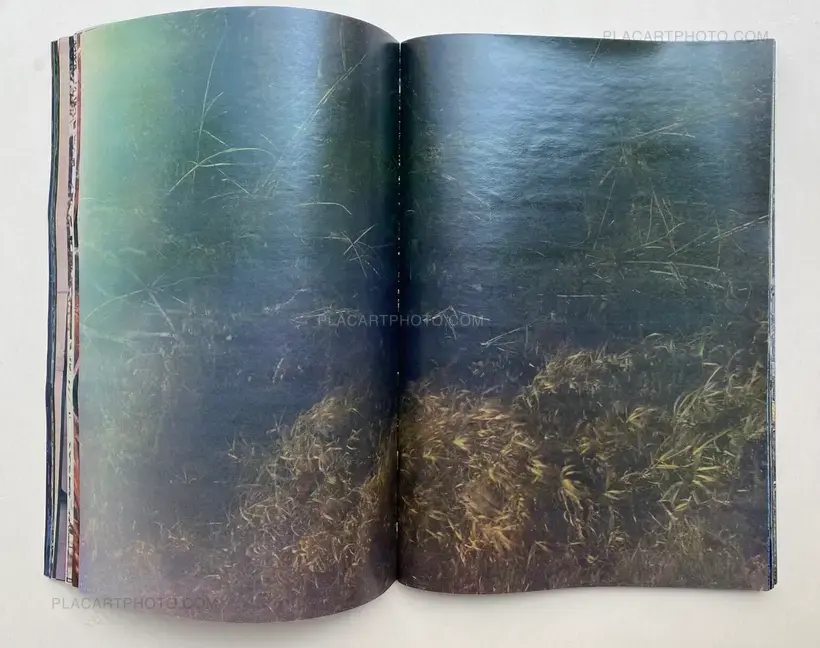 Daisuke Yokota – Plants, midstream of TamaRiver, winter (SIGNED)