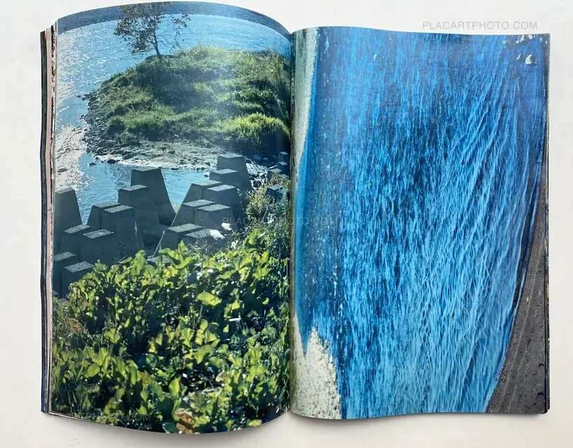 Daisuke Yokota – Plants, midstream of TamaRiver, winter (SIGNED)