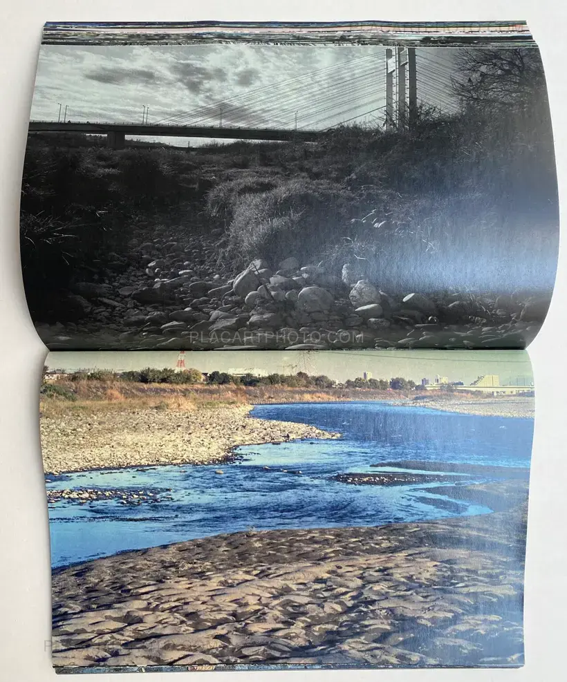 Daisuke Yokota – Plants, midstream of TamaRiver, winter (SIGNED)