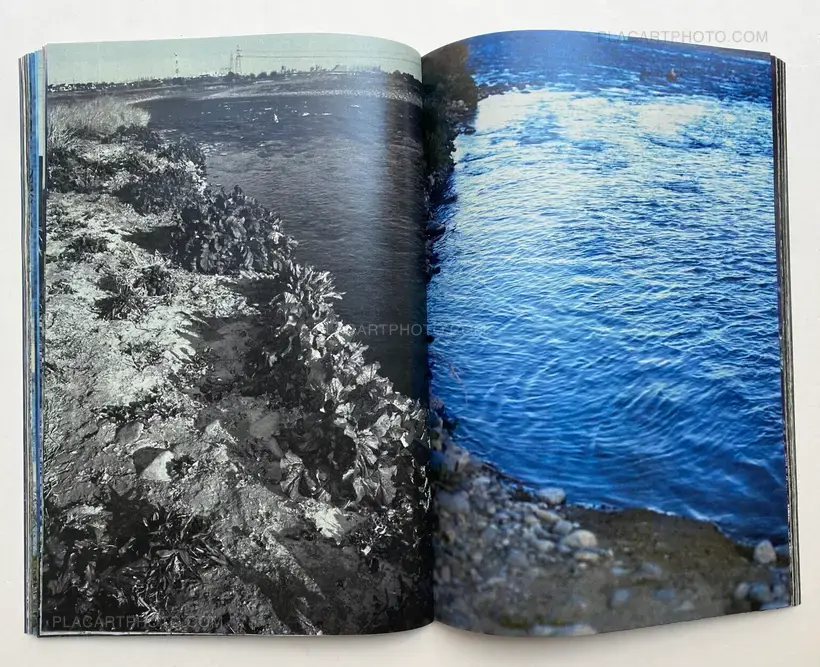 Daisuke Yokota – Plants, midstream of TamaRiver, winter (SIGNED)