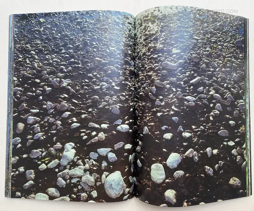 Daisuke Yokota – Plants, midstream of TamaRiver, winter (SIGNED)
