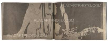 Jacques Fivel,CHINON DCM-206