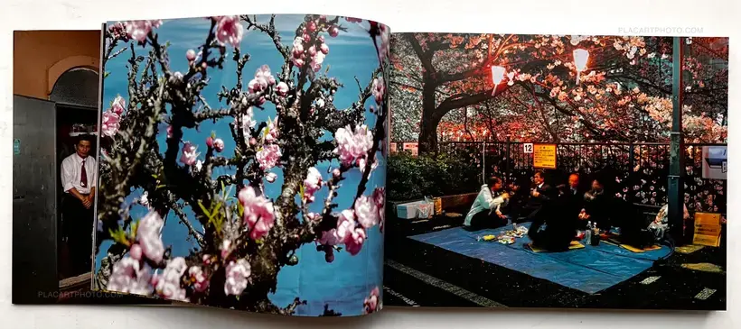 Greg Girard – SNACK SAKURA