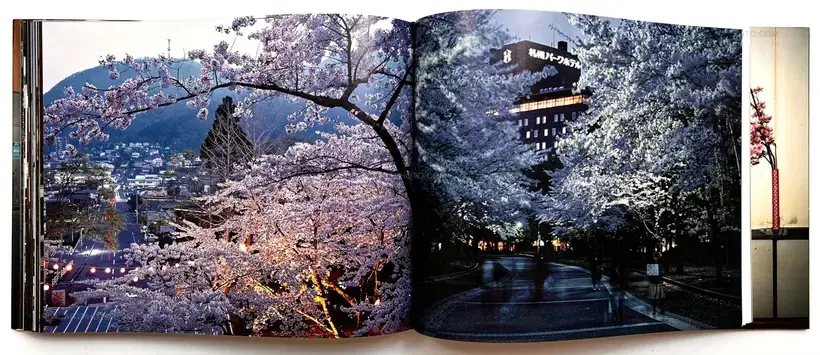 Greg Girard – SNACK SAKURA