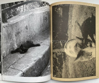 Nobuyoshi Araki,Tokyo Neko Machi (Living Cats in Tokyo) (WITH OBI)