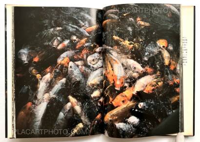 Takuma Nakahira,Aratanaru gyoushi / New Gaze